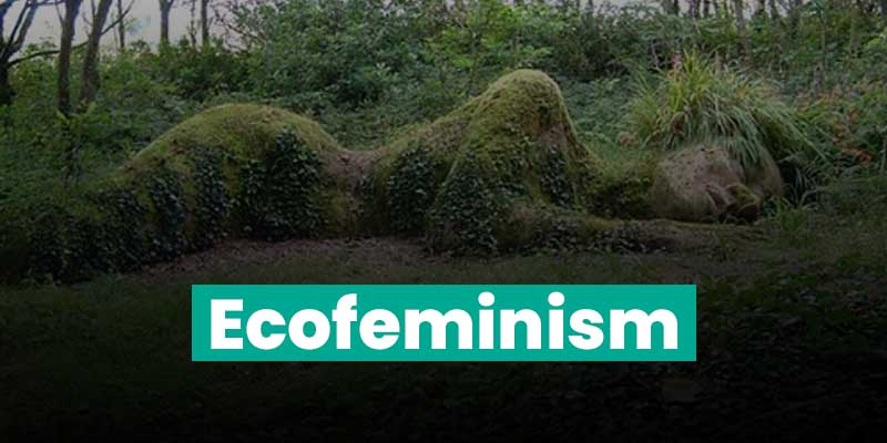 What is Ecofeminism