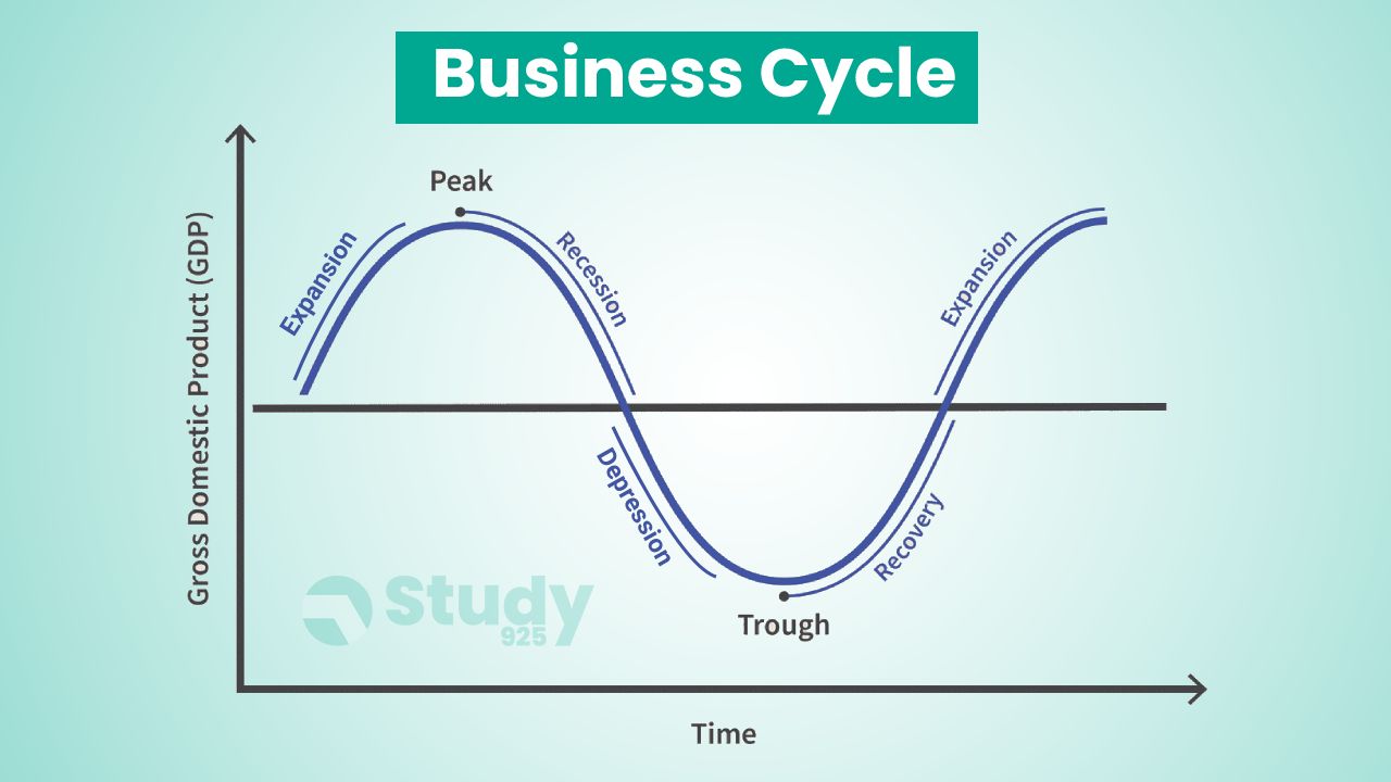 Business Cycle Curve Graph